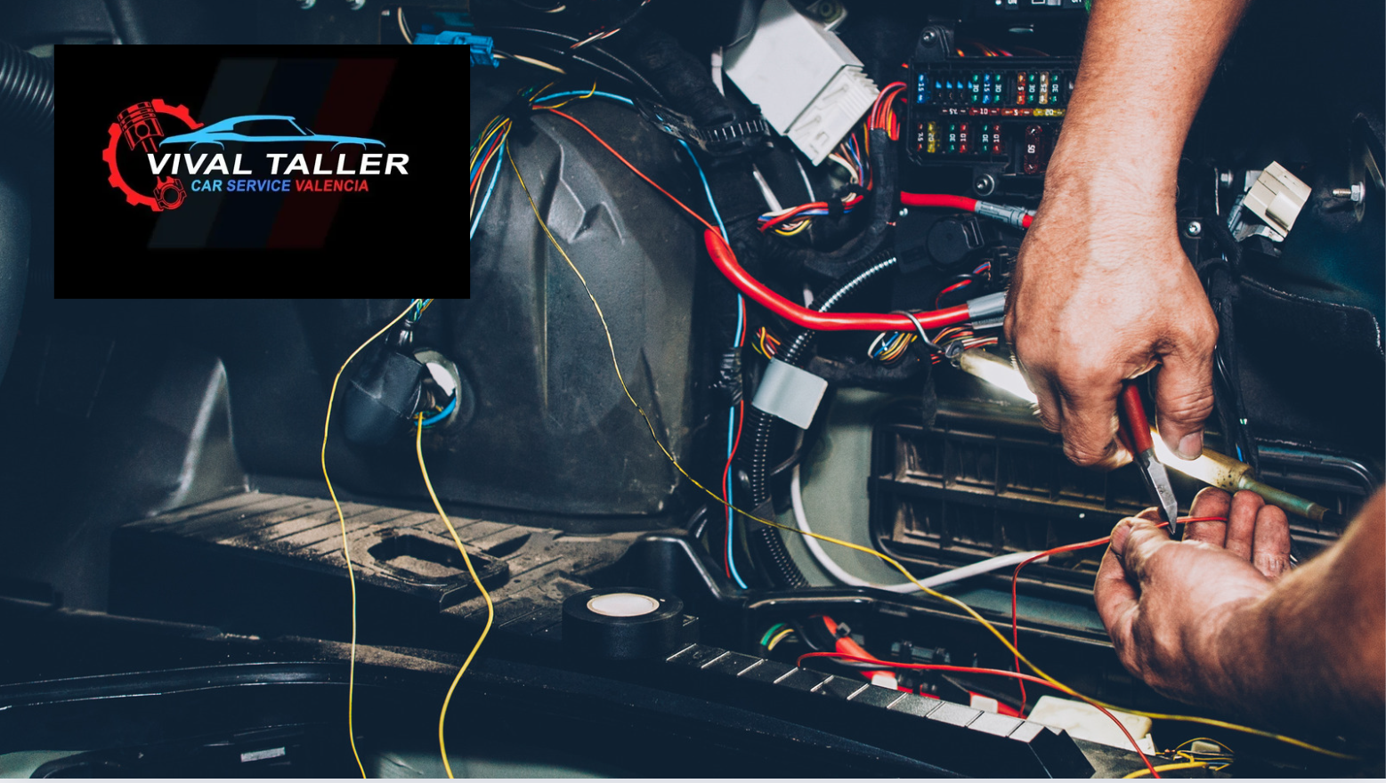 VIVALTALLER​ 5