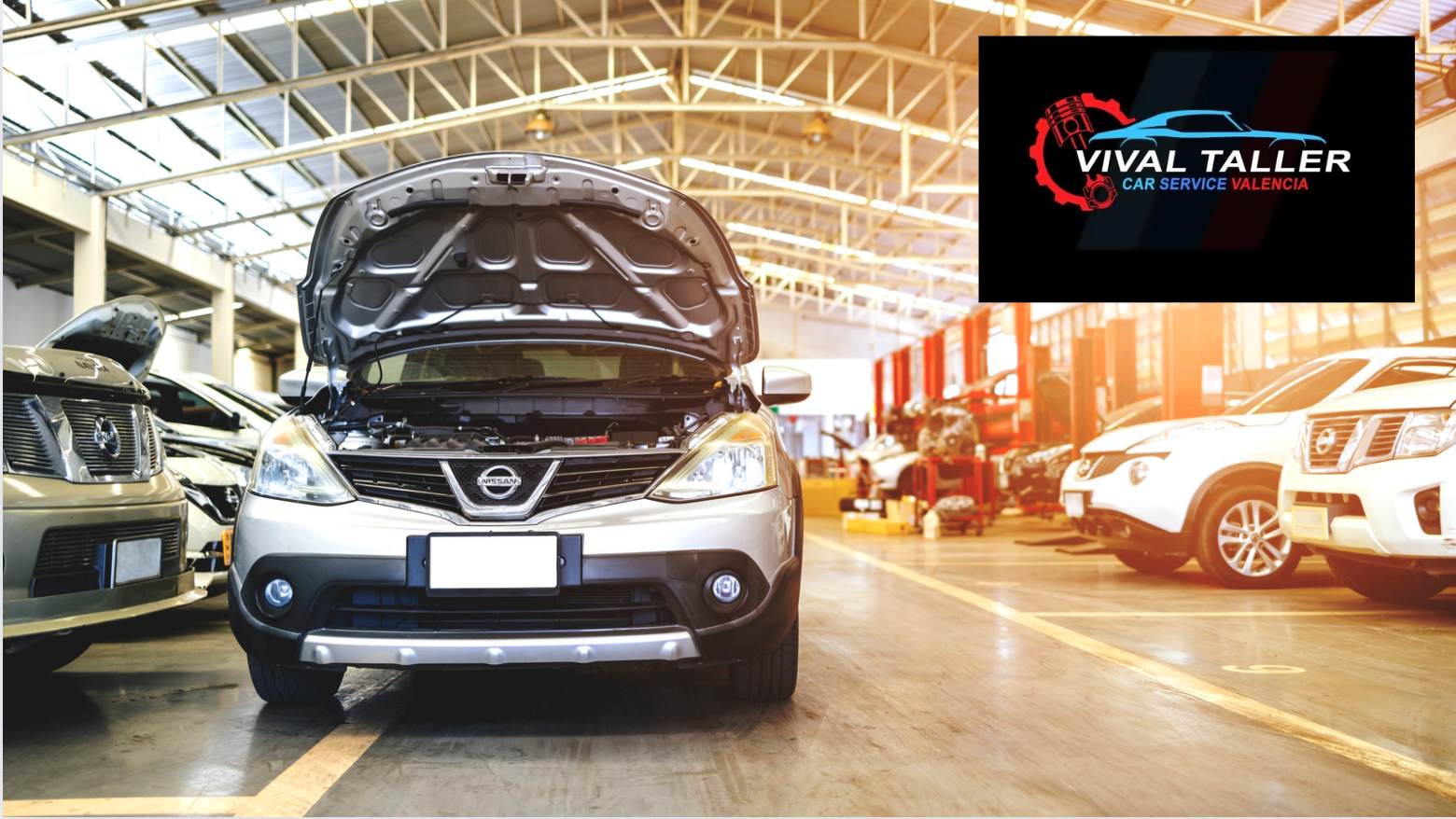 VIVALTALLER​ 6